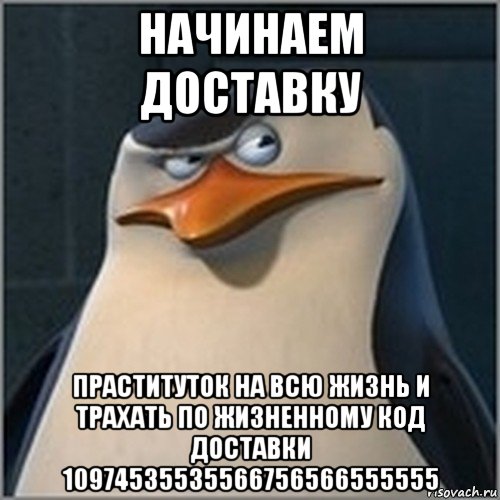 начинаем доставку праституток на всю жизнь и трахать по жизненному код доставки 10974535535566756566555555, Мем шкипер