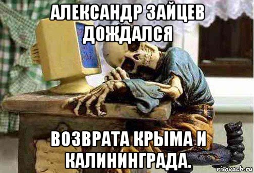 александр зайцев дождался возврата крыма и калининграда., Мем скелет ждет