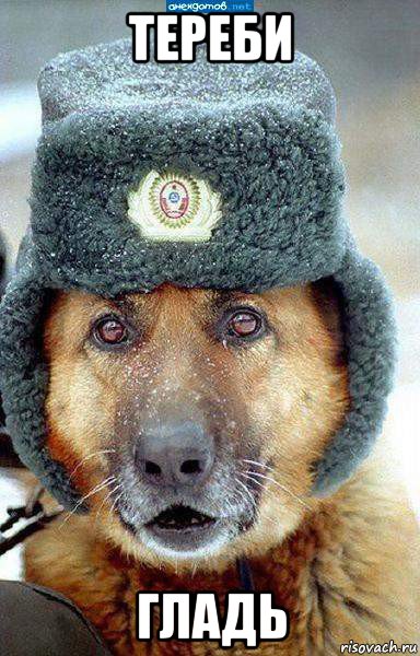 тереби гладь