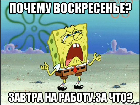 почему воскресенье? завтра на работу.за что?, Мем Спанч Боб плачет