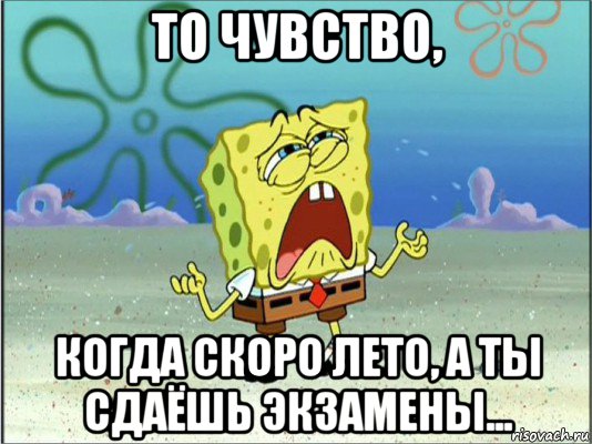 то чувство, когда скоро лето, а ты сдаёшь экзамены..., Мем Спанч Боб плачет