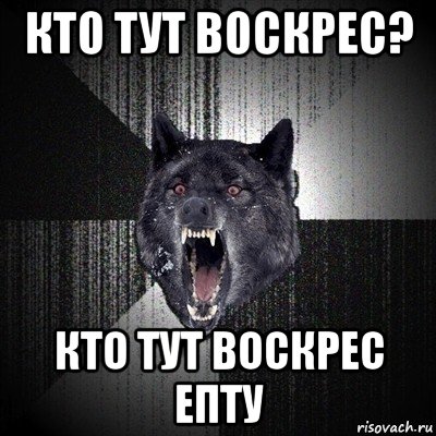 кто тут воскрес? кто тут воскрес епту, Мем Сумасшедший волк