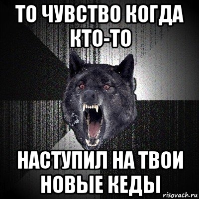 то чувство когда кто-то наступил на твои новые кеды, Мем Сумасшедший волк