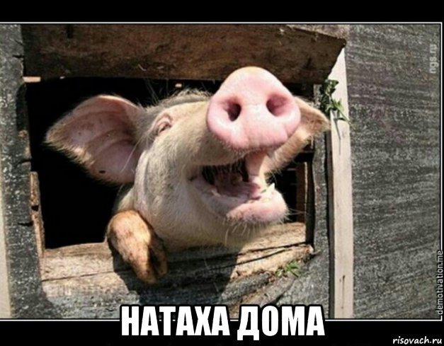  натаха дома