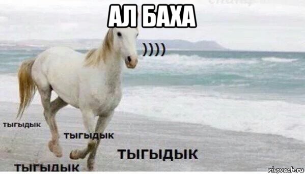 ал баха , Мем   Тыгыдык