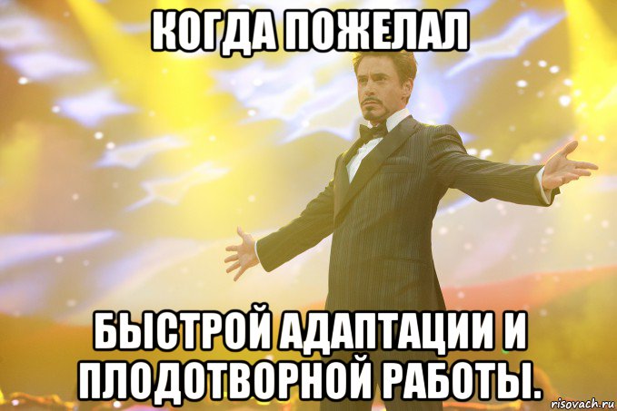 когда пожелал быстрой адаптации и плодотворной работы., Мем Тони Старк (Роберт Дауни младший)