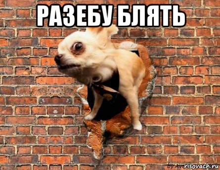 разебу блять 