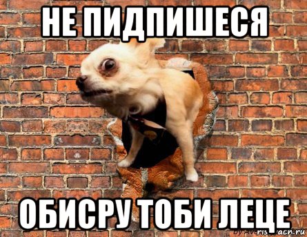 не пидпишеся обисру тоби леце