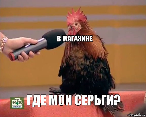 в магазине где мои серьги?