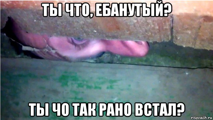 ты что, ебанутый? ты чо так рано встал?