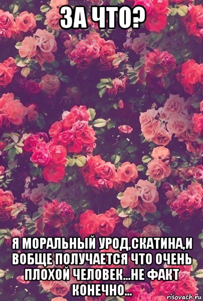 за что? я моральный урод,скатина,и вобще получается что очень плохой человек...не факт конечно...