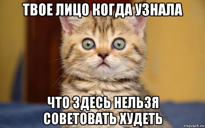 твое лицо когда узнала что здесь нельзя советовать худеть, Мем  удивление