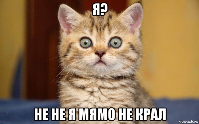 я? не не я мямо не крал, Мем  удивление