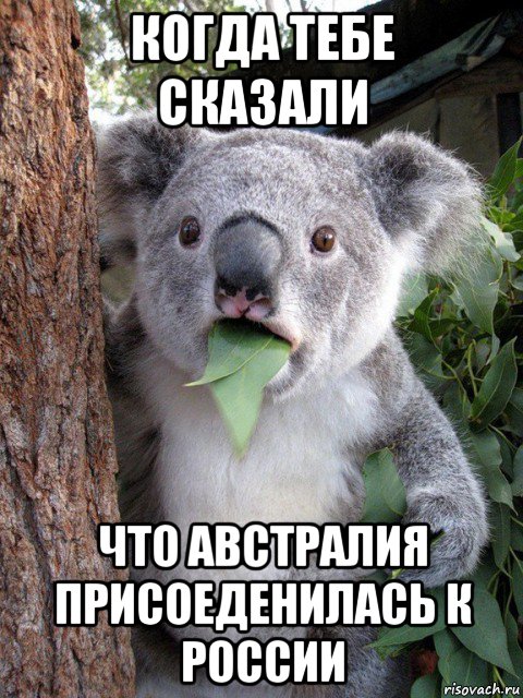 когда тебе сказали что австралия присоеденилась к россии