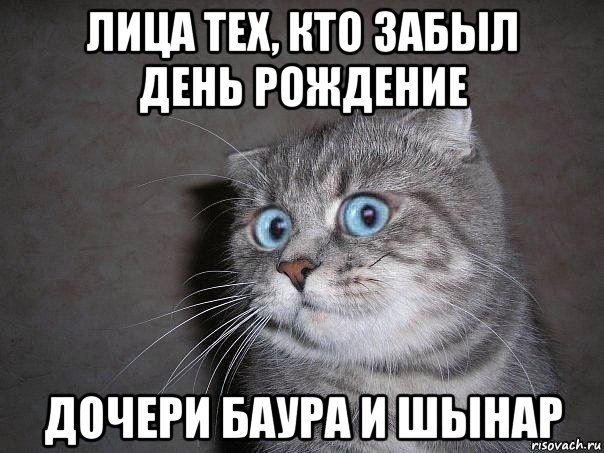 лица тех, кто забыл день рождение дочери баура и шынар, Мем  удивлённый кот