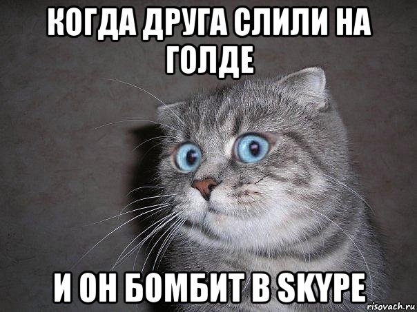 когда друга слили на голде и он бомбит в skype, Мем  удивлённый кот