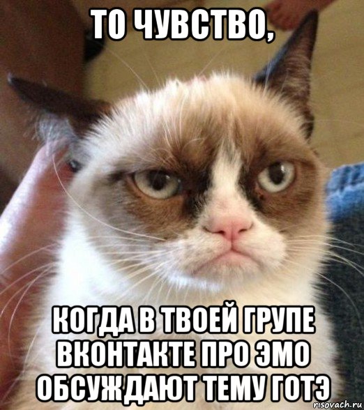 то чувство, когда в твоей групе вконтакте про эмо обсуждают тему готэ, Мем Унылый