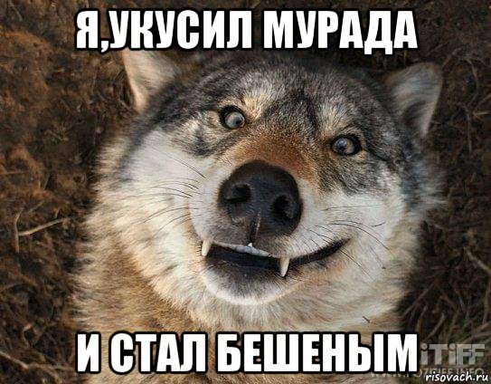 я,укусил мурада и стал бешеным