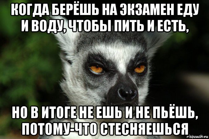 когда берёшь на экзамен еду и воду, чтобы пить и есть, но в итоге не ешь и не пьёшь, потому-что стесняешься, Мем   Я збагоен