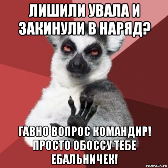 лишили увала и закинули в наряд? гавно вопрос командир! просто обоссу тебе ебальничек!, Мем Узбагойзя