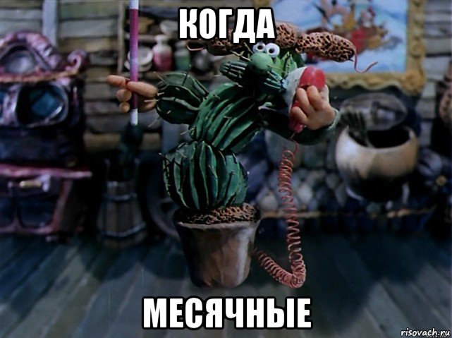 когда месячные, Мем В кактус превратился
