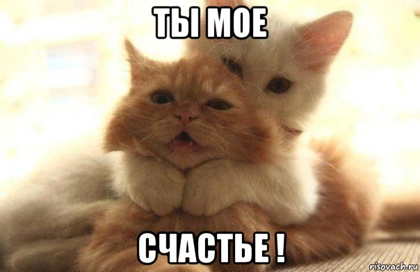 ты мое счастье !, Мем В камеру смотри - нас фоткают