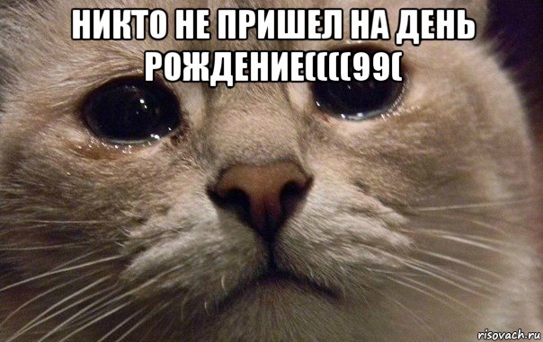 никто не пришел на день рождение((((99( , Мем   В мире грустит один котик