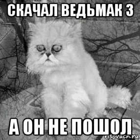 скачал ведьмак 3 а он не пошол