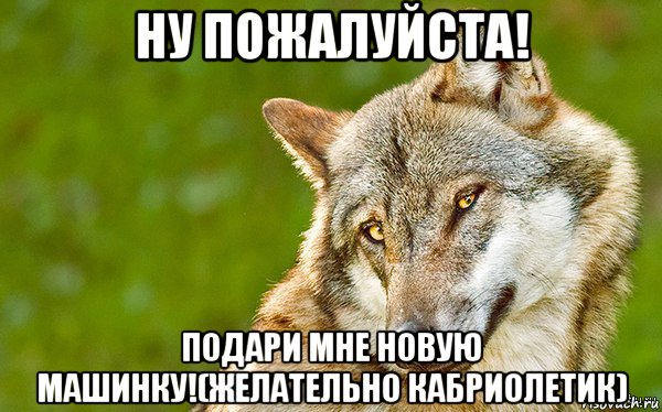 ну пожалуйста! подари мне новую машинку!(желательно кабриолетик), Мем   Volf