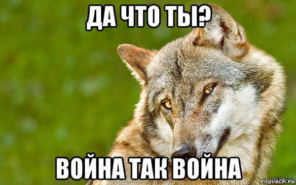 да что ты? война так война, Мем   Volf