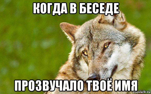 когда в беседе прозвучало твоё имя, Мем   Volf