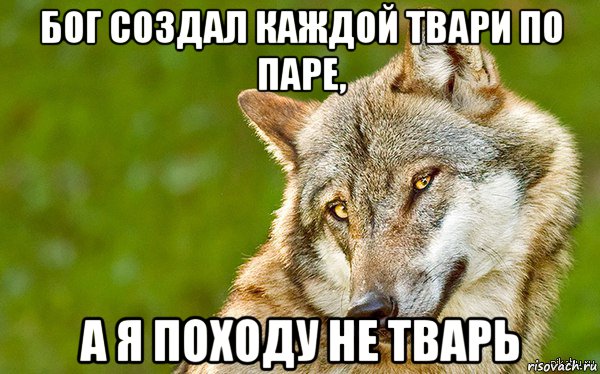 бог создал каждой твари по паре, а я походу не тварь