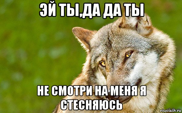 эй ты,да да ты не смотри на меня я стесняюсь, Мем   Volf