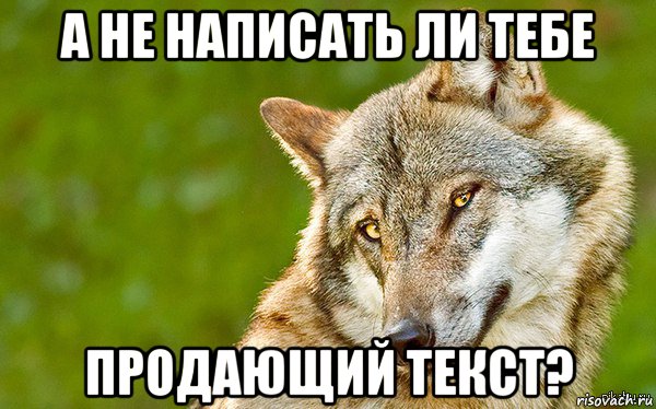 а не написать ли тебе продающий текст?, Мем   Volf