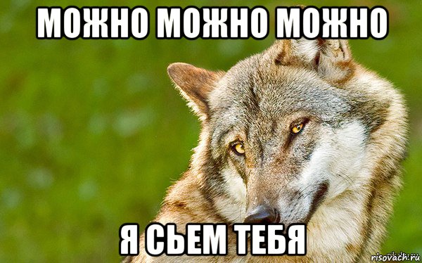 можно можно можно я сьем тебя, Мем   Volf