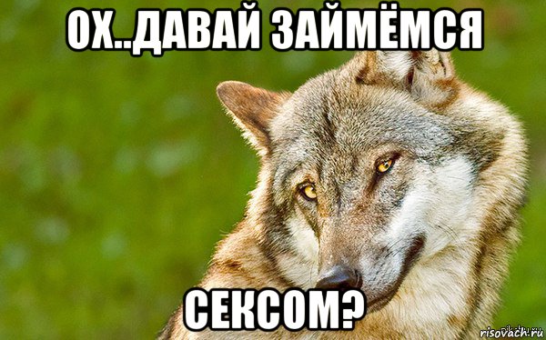 ох..давай займёмся сексом?, Мем   Volf