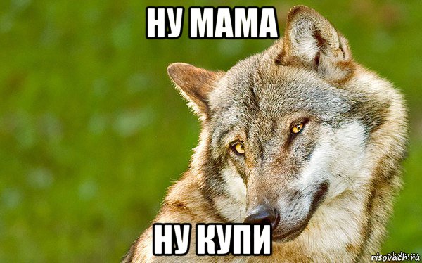 ну мама ну купи, Мем   Volf