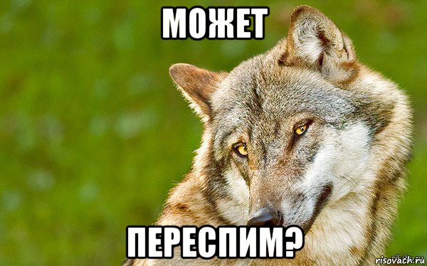 может переспим?, Мем   Volf