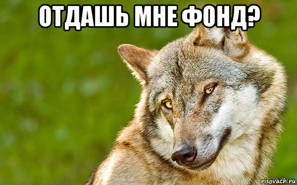 отдашь мне фонд? , Мем   Volf