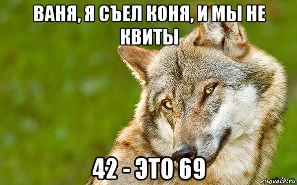 ваня, я съел коня, и мы не квиты 42 - это 69, Мем   Volf