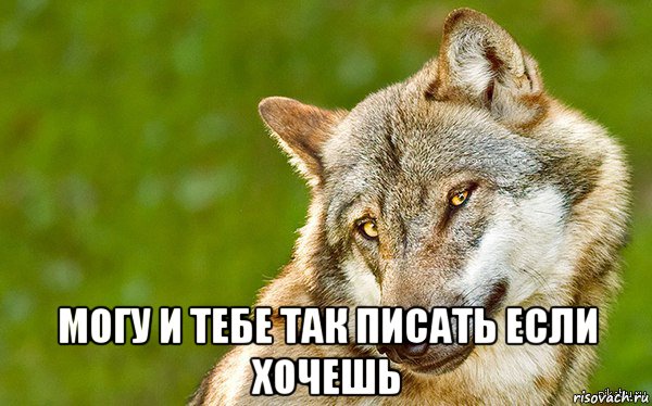  могу и тебе так писать если хочешь, Мем   Volf