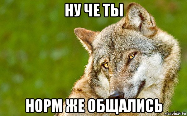 ну че ты норм же общались, Мем   Volf