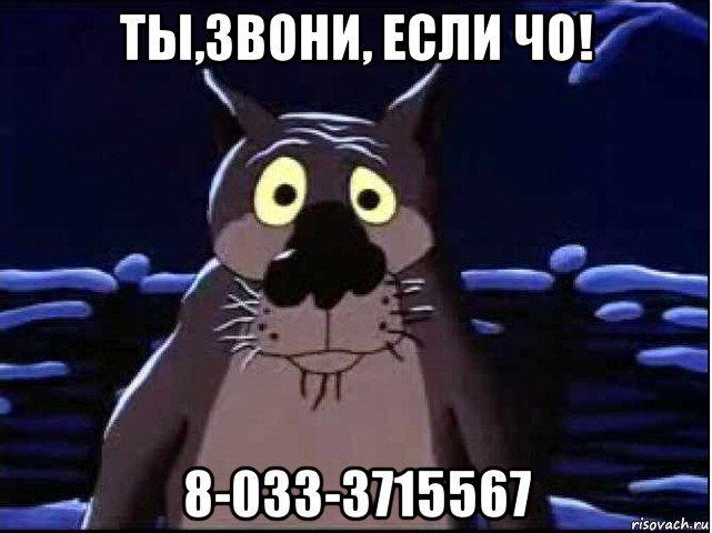 ты,звони, если чо! 8-033-3715567, Мем волк