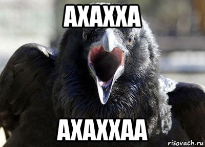 ахахха ахаххаа, Мем ворона