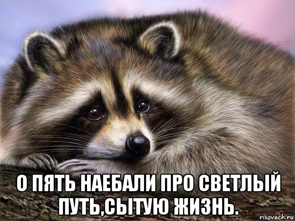  о пять наебали про светлый путь,сытую жизнь.
