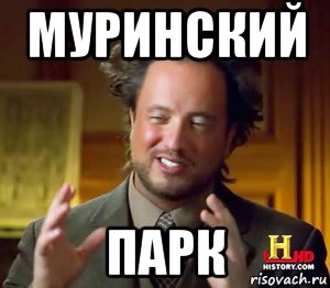 муринский парк