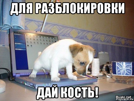 для разблокировки дай кость!, Мем ы