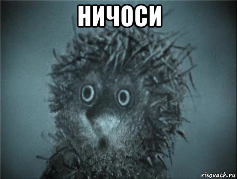 ничоси , Мем Ежик в тумане
