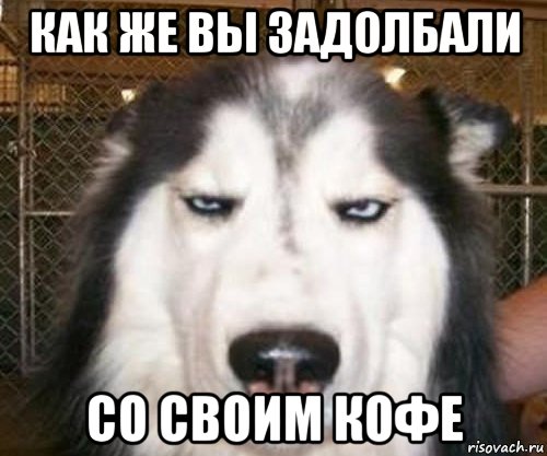как же вы задолбали со своим кофе, Мем задолбал