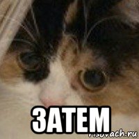  затем, Мем Затем